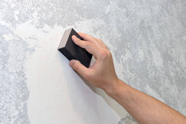 Best Asbestos and Lead Testing During Mold Inspection  in Winter Garden, FL
