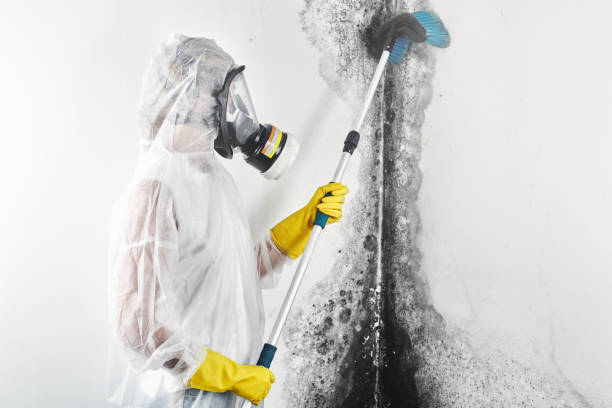 Mold Remediation for Rental Properties in Winter Garden, FL