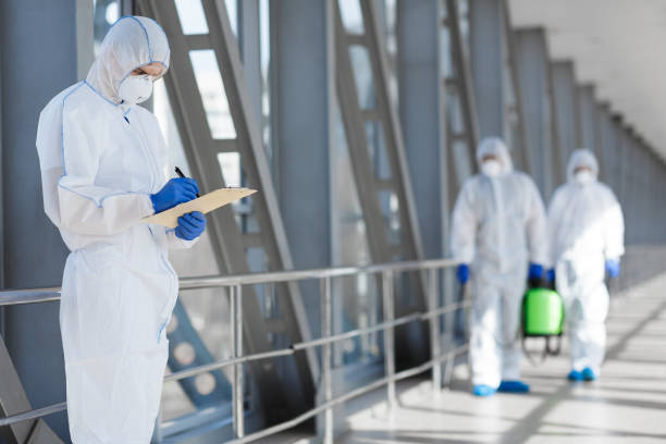Best Mold Removal for HVAC Installations  in Winter Garden, FL
