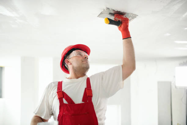 Best Attic Mold Removal  in Winter Garden, FL