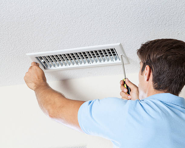 Best Mold Odor Removal Services  in Winter Garden, FL