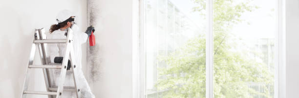 Best Forensic Mold Investigation  in Winter Garden, FL