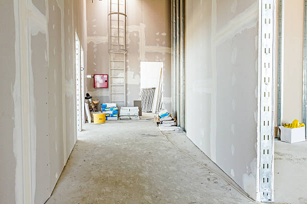 Best Mold Remediation for Healthcare Facilities  in Winter Garden, FL