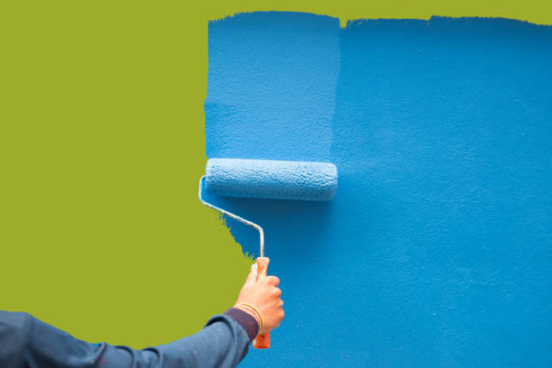 Trusted Winter Garden, FL Mold Removal Experts