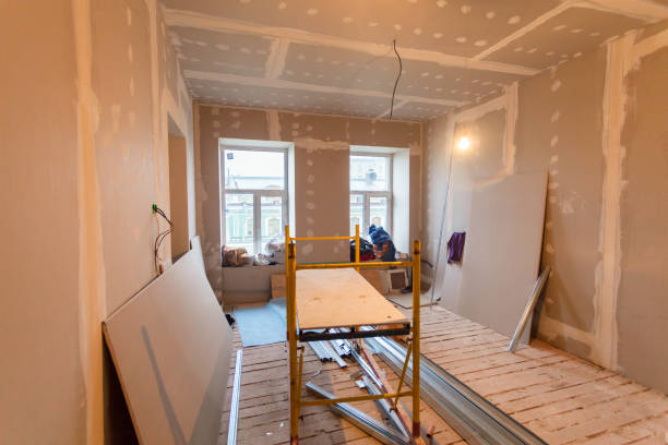  Winter Garden, FL Mold Removal Pros