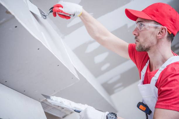 Best Basement Mold Removal  in Winter Garden, FL